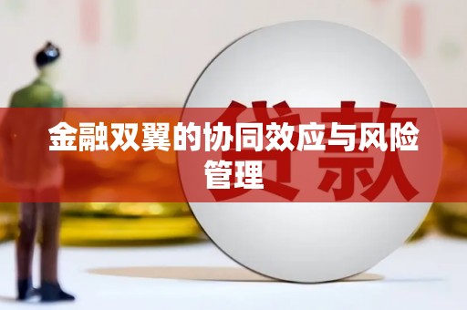 得荣金融双翼的协同效应与风险管理