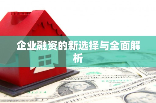 得荣企业融资的新选择与全面解析