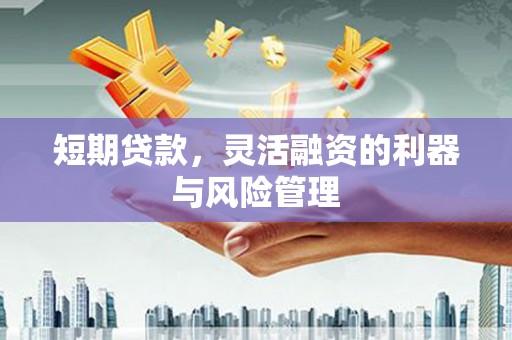得荣短期贷款，灵活融资的利器与风险管理