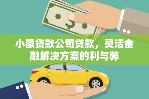 得荣小额贷款公司贷款，灵活金融解决方案的利与弊